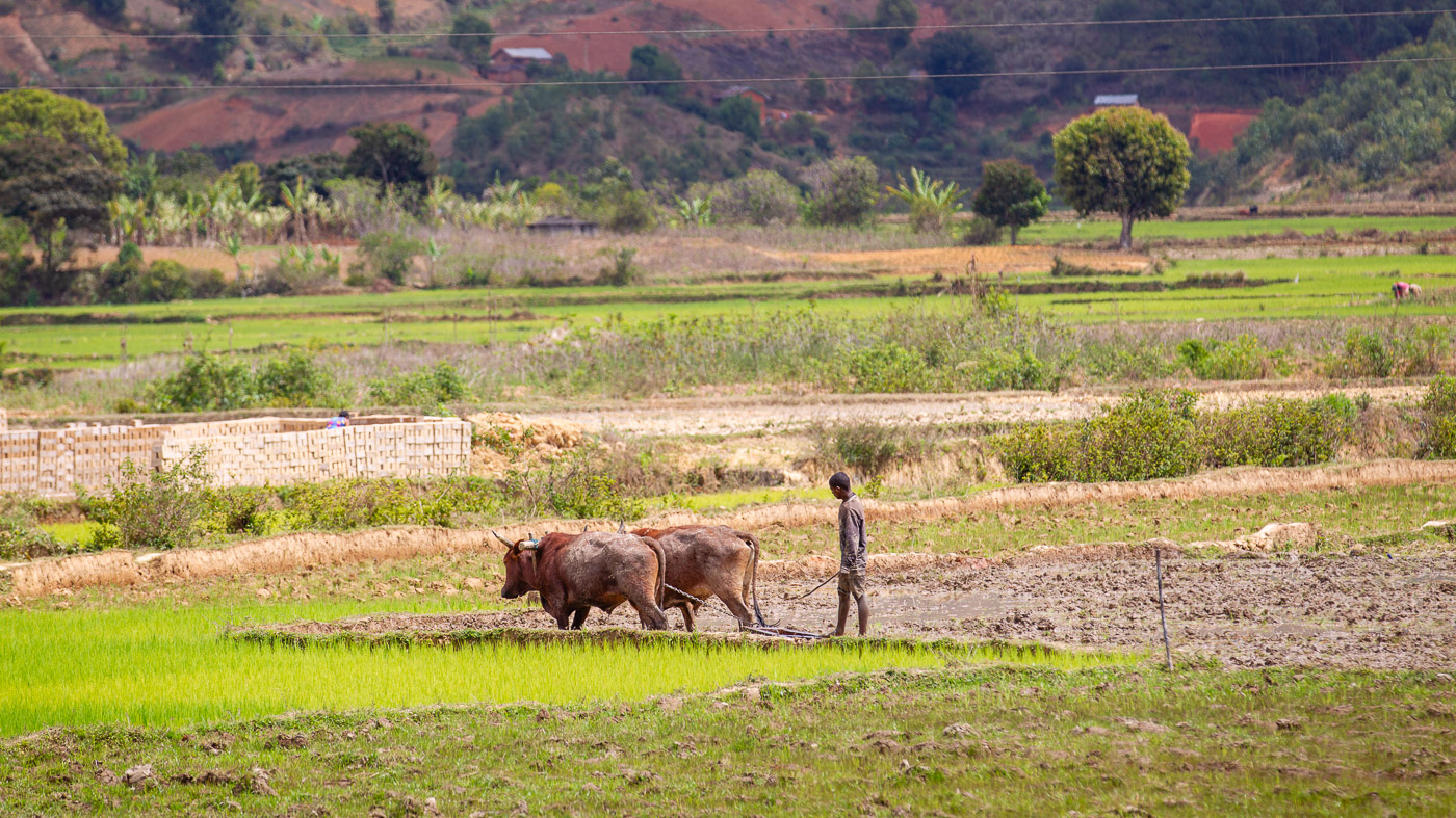 2024_Madagaskar_1D-0658.jpg