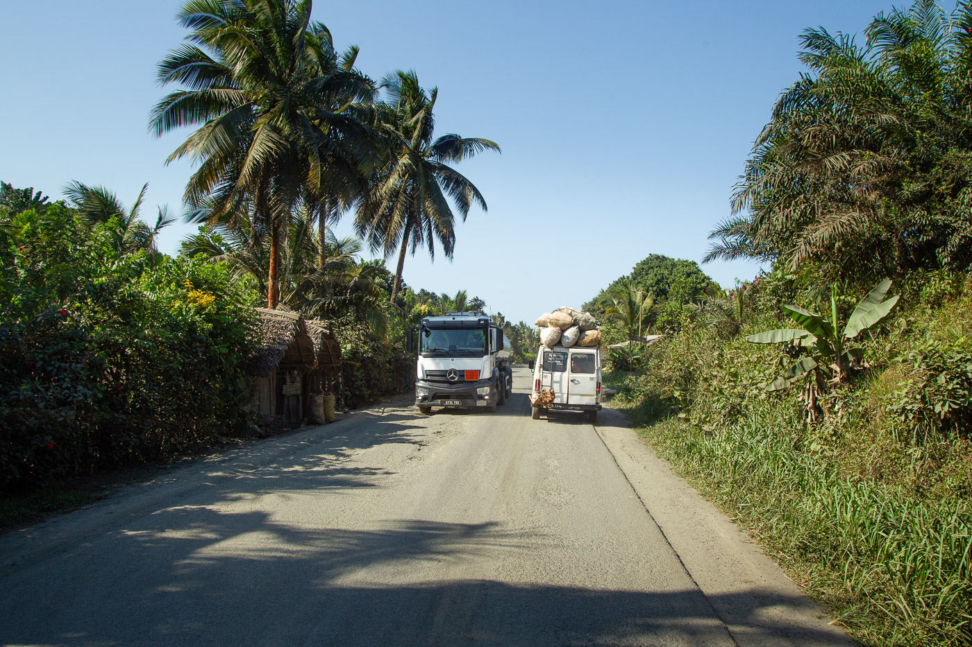 2024_Madagaskar_1D-1971.jpg