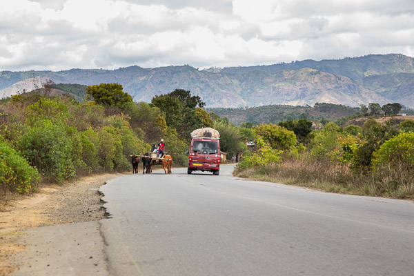 2024_Madagaskar_5D-2059.jpg