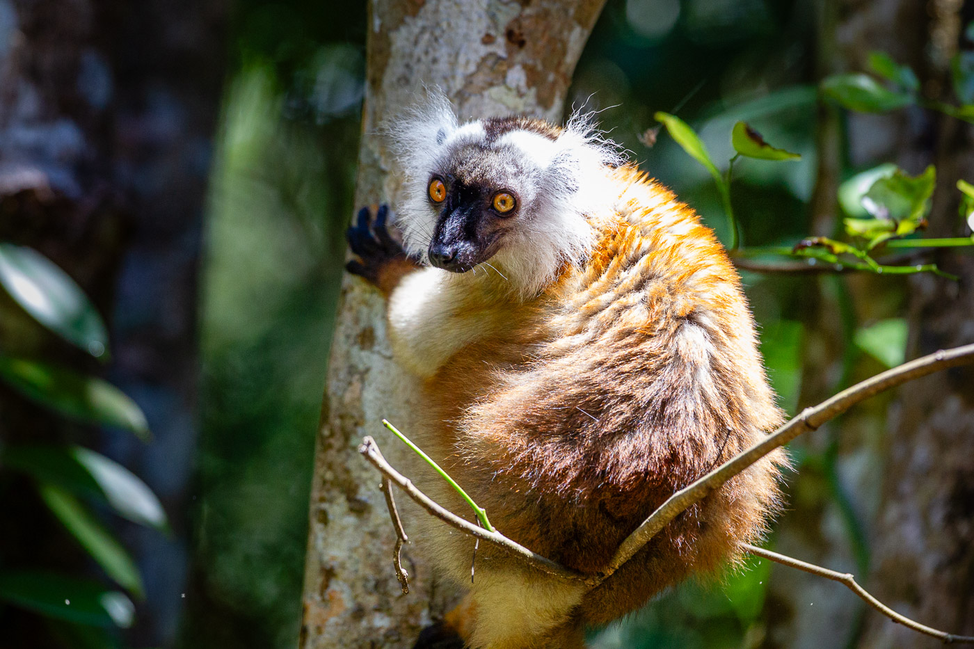 2024_Madagaskar_1D-1001.jpg