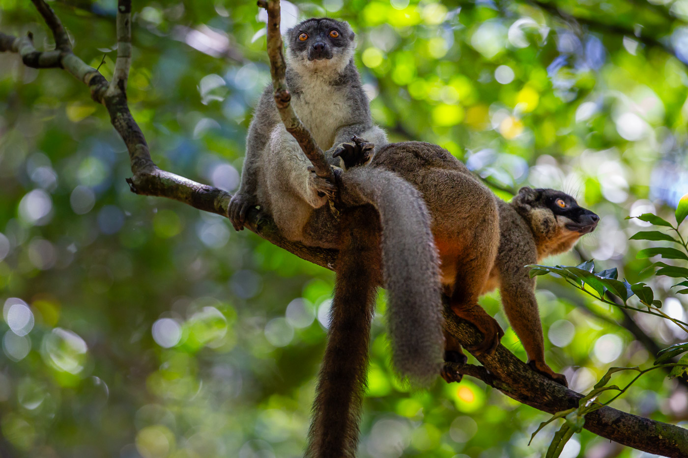 2024_Madagaskar_1D-1023.jpg
