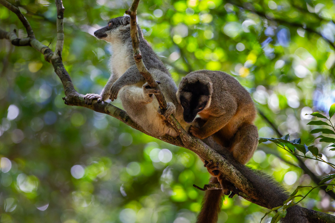 2024_Madagaskar_1D-1025.jpg