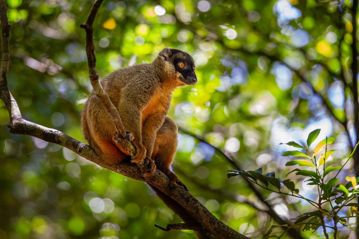 2024_Madagaskar_1D-1045.jpg