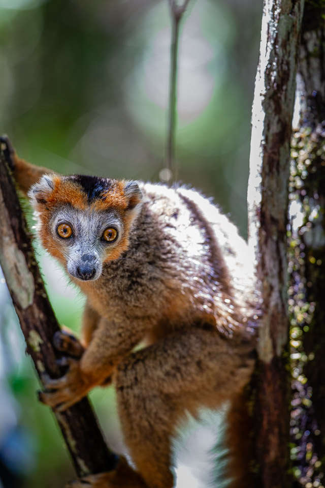 2024_Madagaskar_1D-1051.jpg