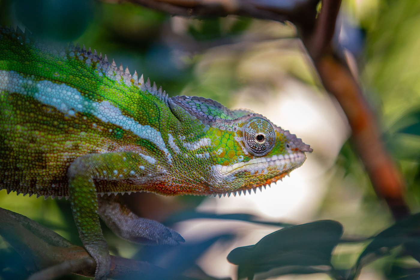 2024_Madagaskar_1D-1291.jpg
