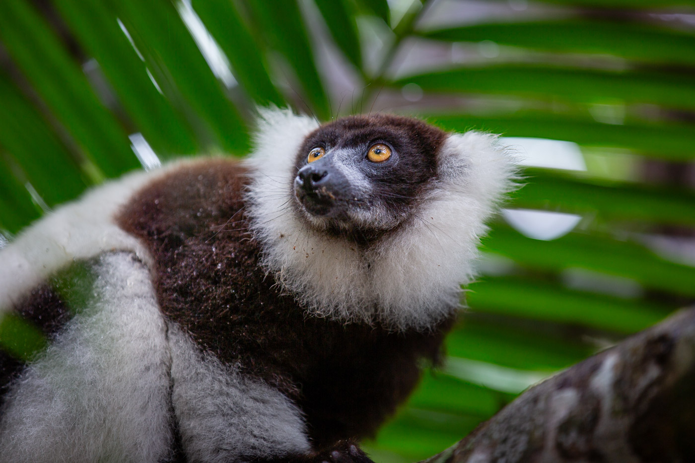2024_Madagaskar_5D-2146.jpg