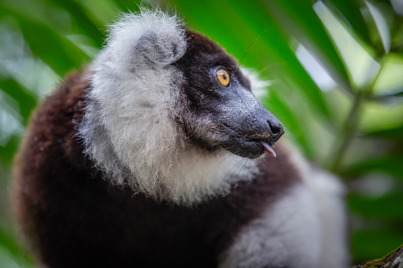 2024_Madagaskar_5D-2156.jpg