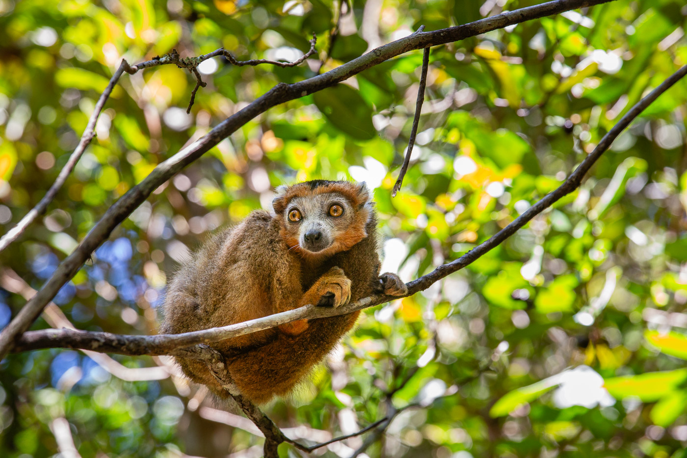 2024_Madagaskar_5D-2294.jpg