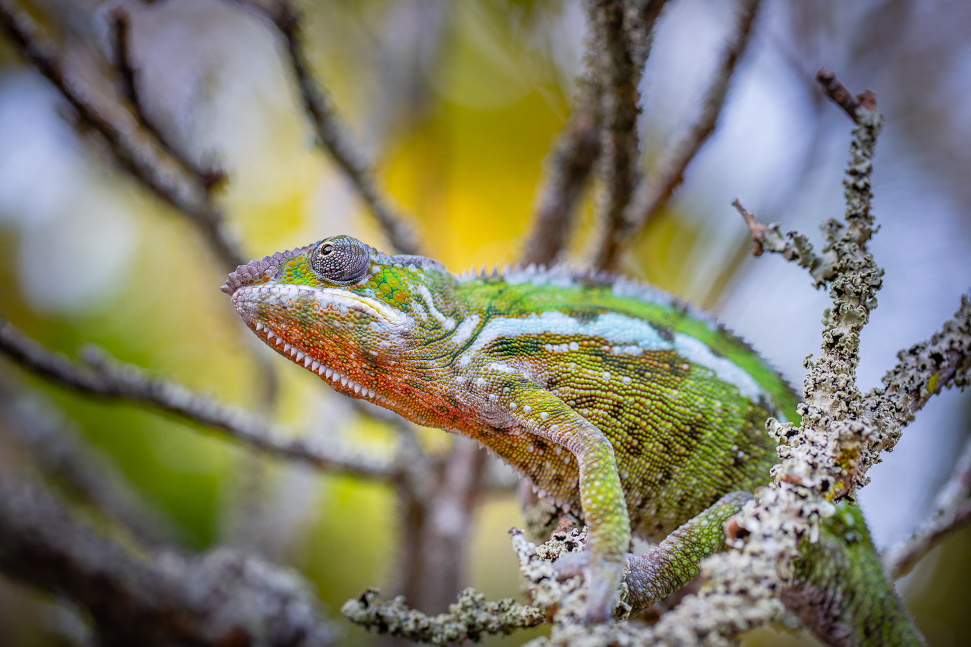 2024_Madagaskar_5D-2565.jpg