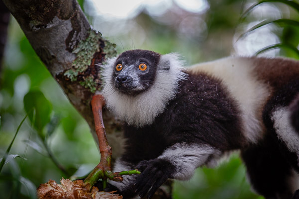 2024_Madagaskar_5D-2117.jpg