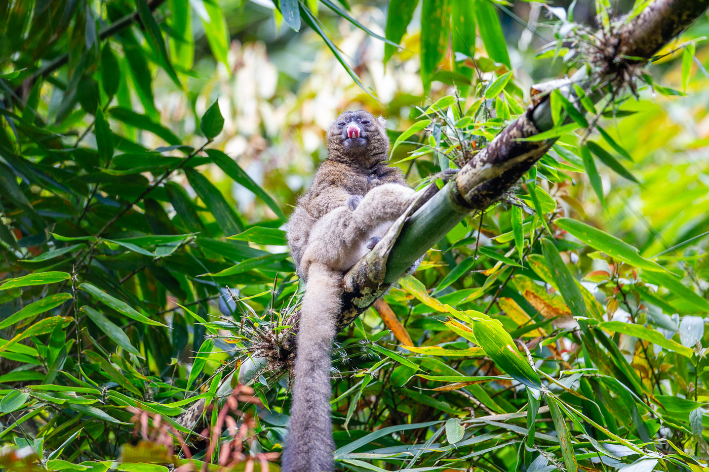2024_Madagaskar_1D-3121.jpg