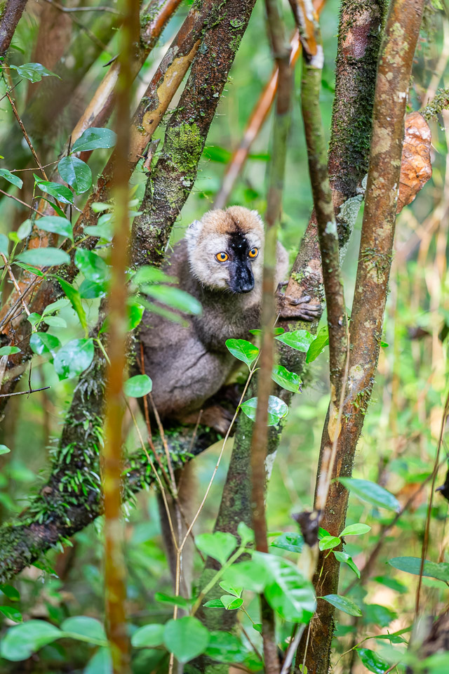2024_Madagaskar_5D-3431-002.jpg