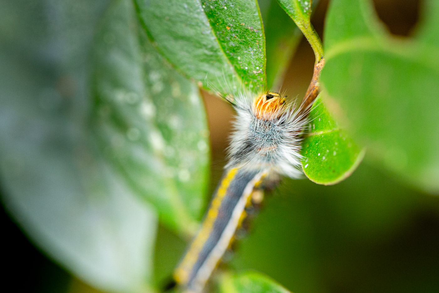 2024_Madagaskar_5D-3524.jpg