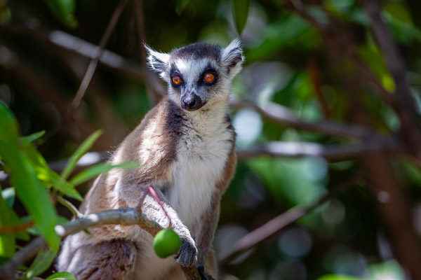 2024_Madagaskar_1D-4219-Bearbeitet.jpg
