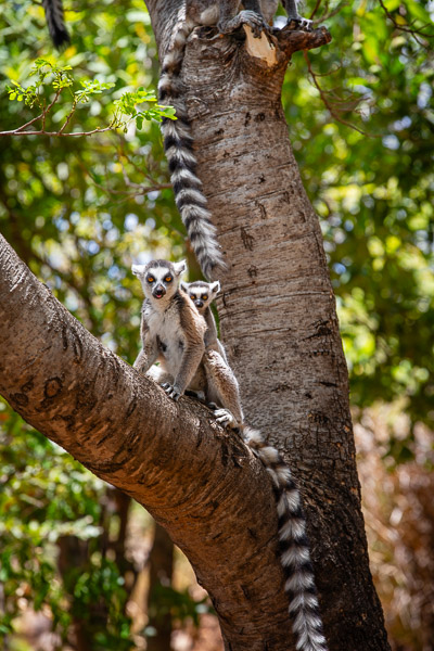 2024_Madagaskar_5D-3994.jpg