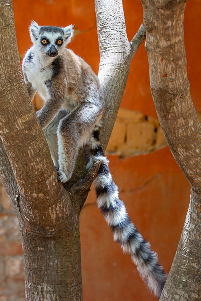 2024_Madagaskar_5D-4009.jpg