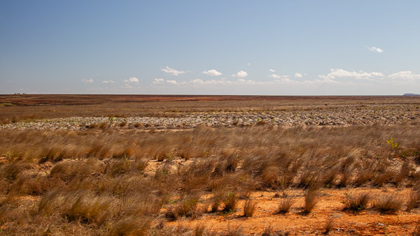 2024_Madagaskar_1D-5427.jpg