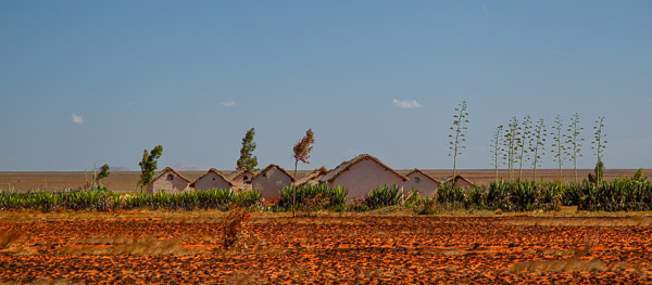 2024_Madagaskar_1D-5440.jpg
