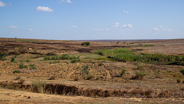 2024_Madagaskar_1D-5493.jpg