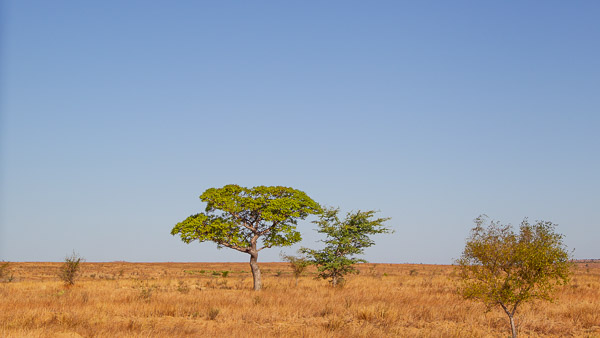 2024_Madagaskar_1D-5523.jpg