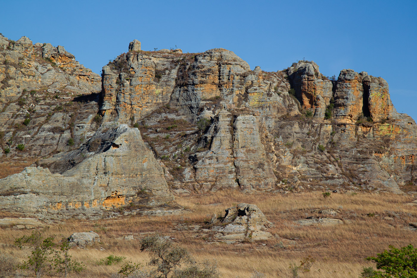 2024_Madagaskar_1D-5586.jpg