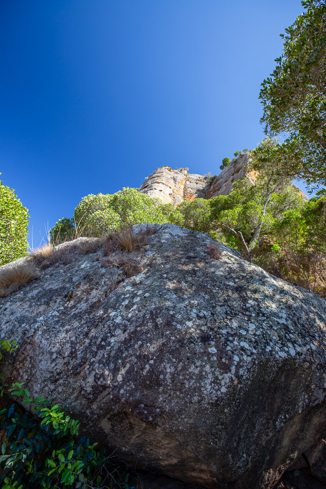 2024_Madagaskar_5D-4425.jpg