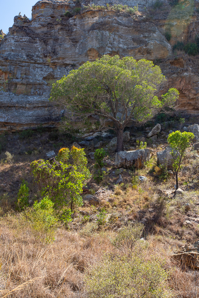 2024_Madagaskar_5D-4470.jpg