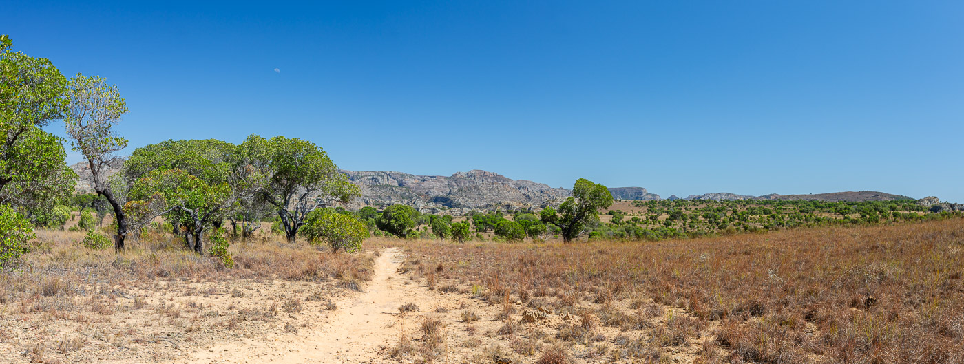2024_Madagaskar_5D-4498-Pano.jpg