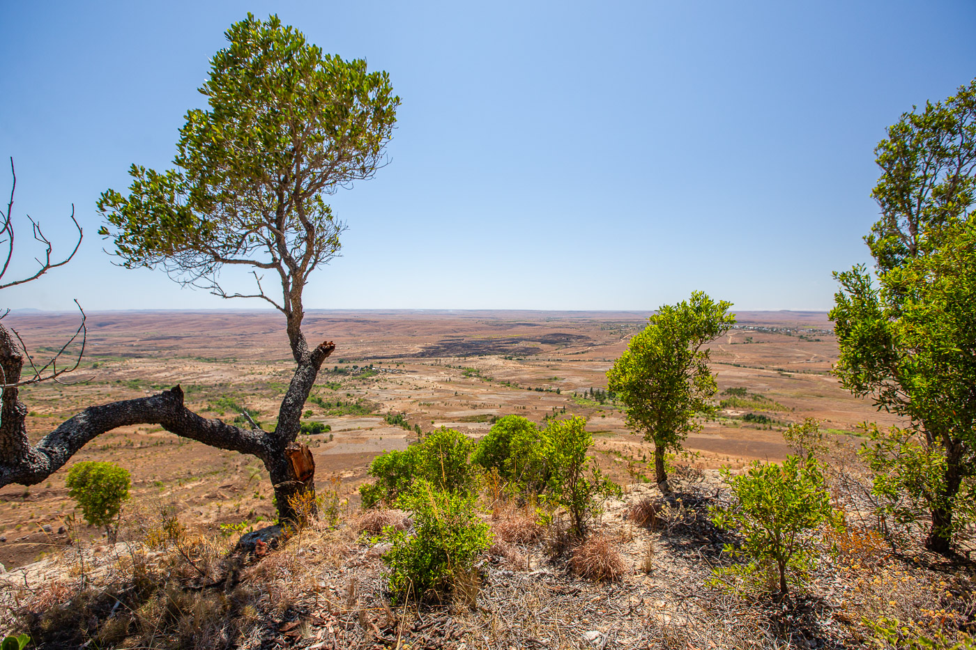 2024_Madagaskar_5D-4570.jpg