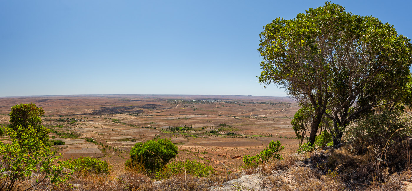 2024_Madagaskar_5D-4575-Pano.jpg