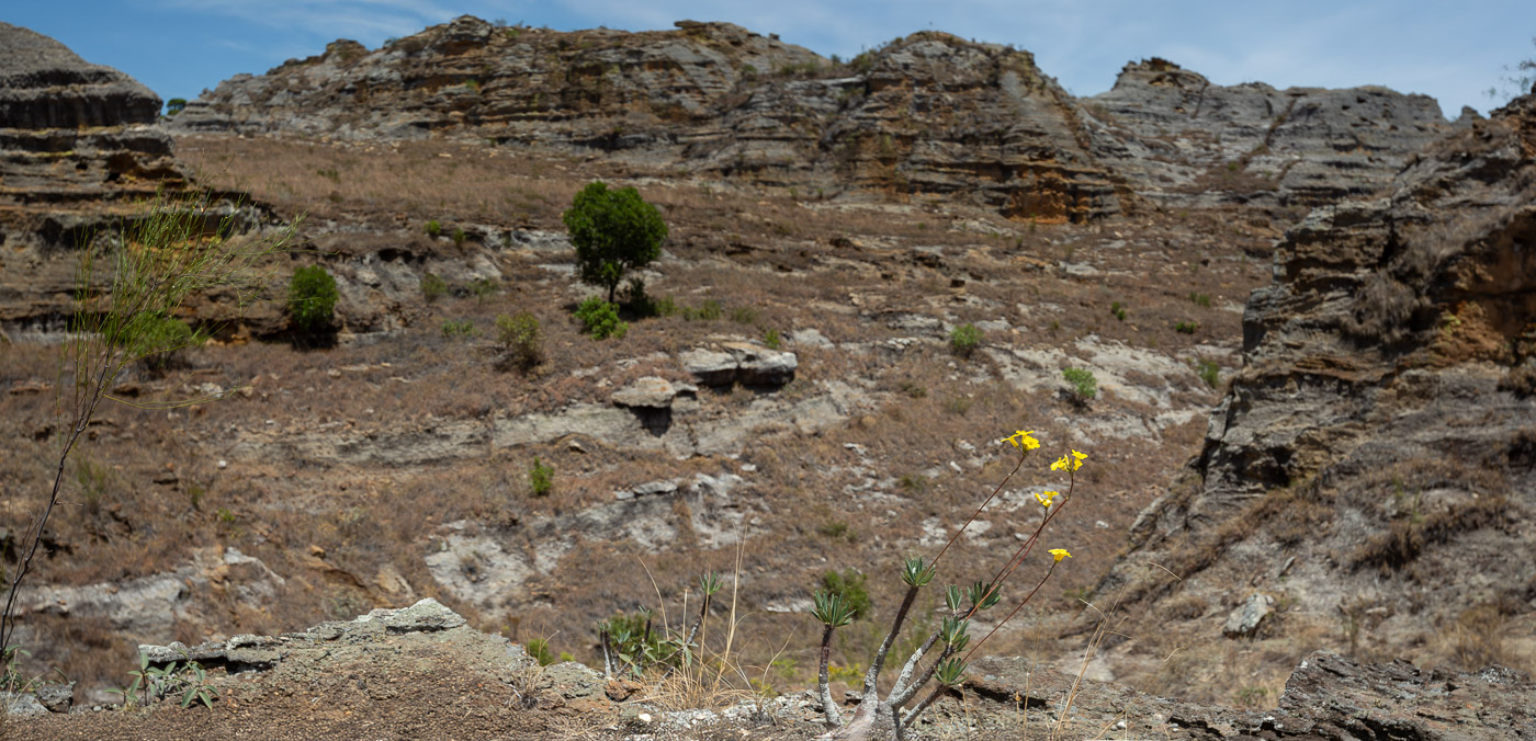 2024_Madagaskar_5D-4900-Pano-Bearbeitet.jpg