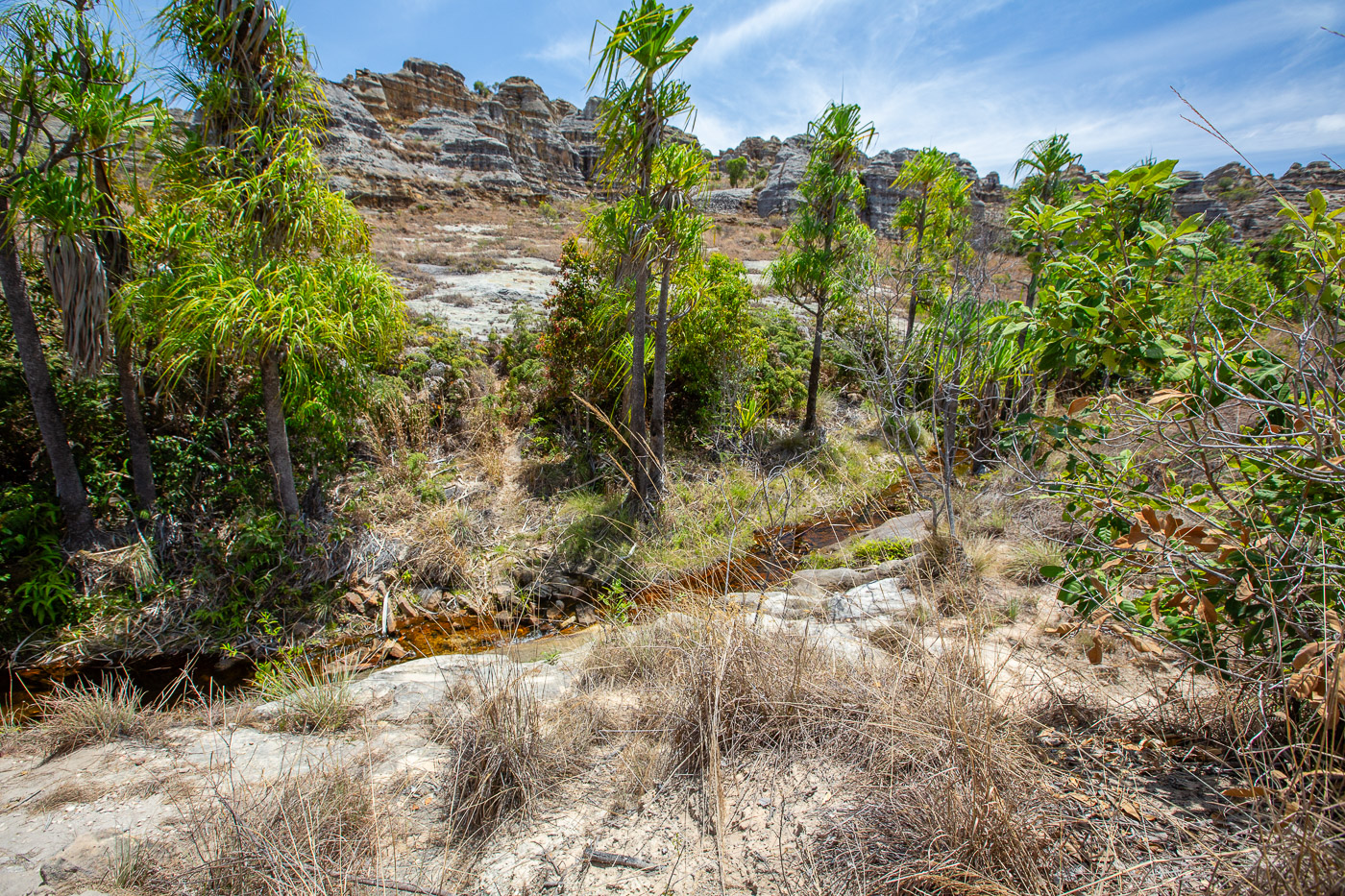2024_Madagaskar_5D-5023.jpg