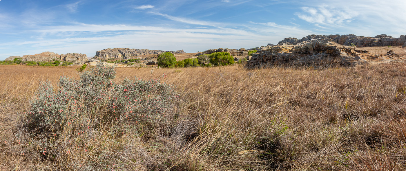 2024_Madagaskar_5D-5228-Pano.jpg