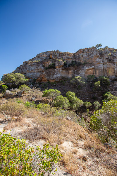 2024_Madagaskar_5D-4438.jpg