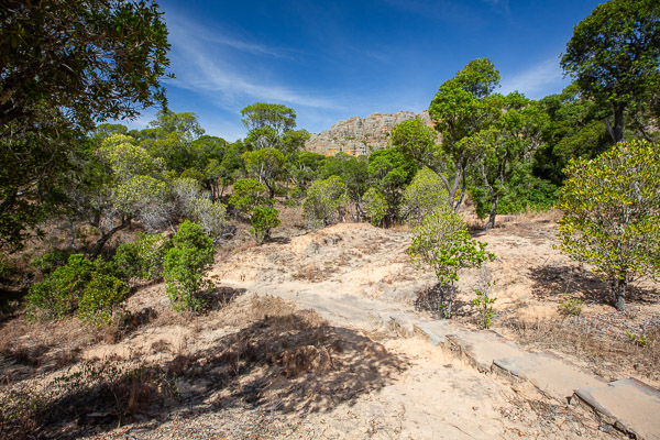 2024_Madagaskar_5D-5139.jpg