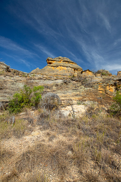 2024_Madagaskar_5D-5148.jpg