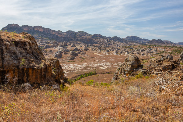 2024_Madagaskar_5D-5190.jpg
