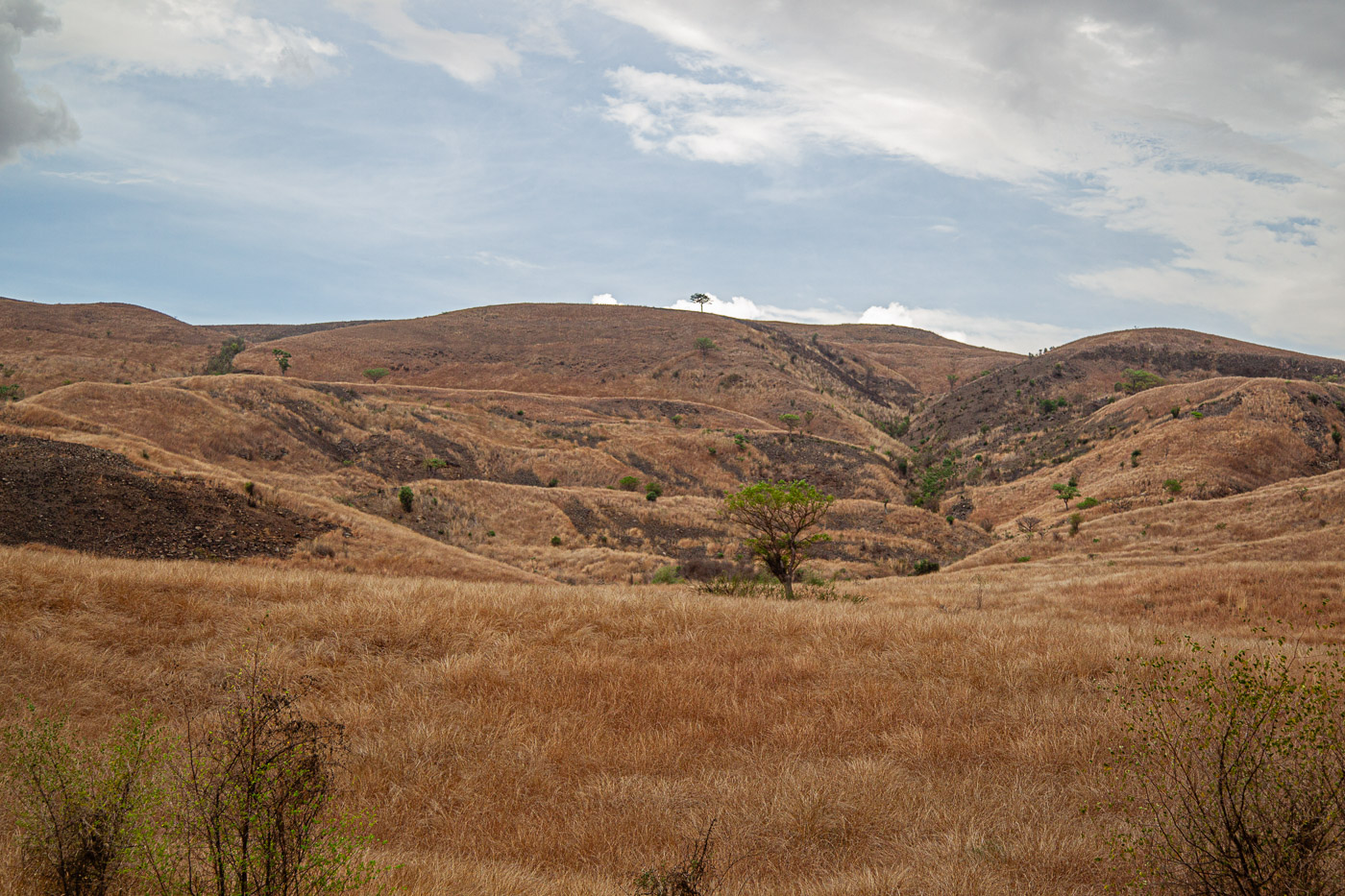 2024_Madagaskar_1D-6537.jpg