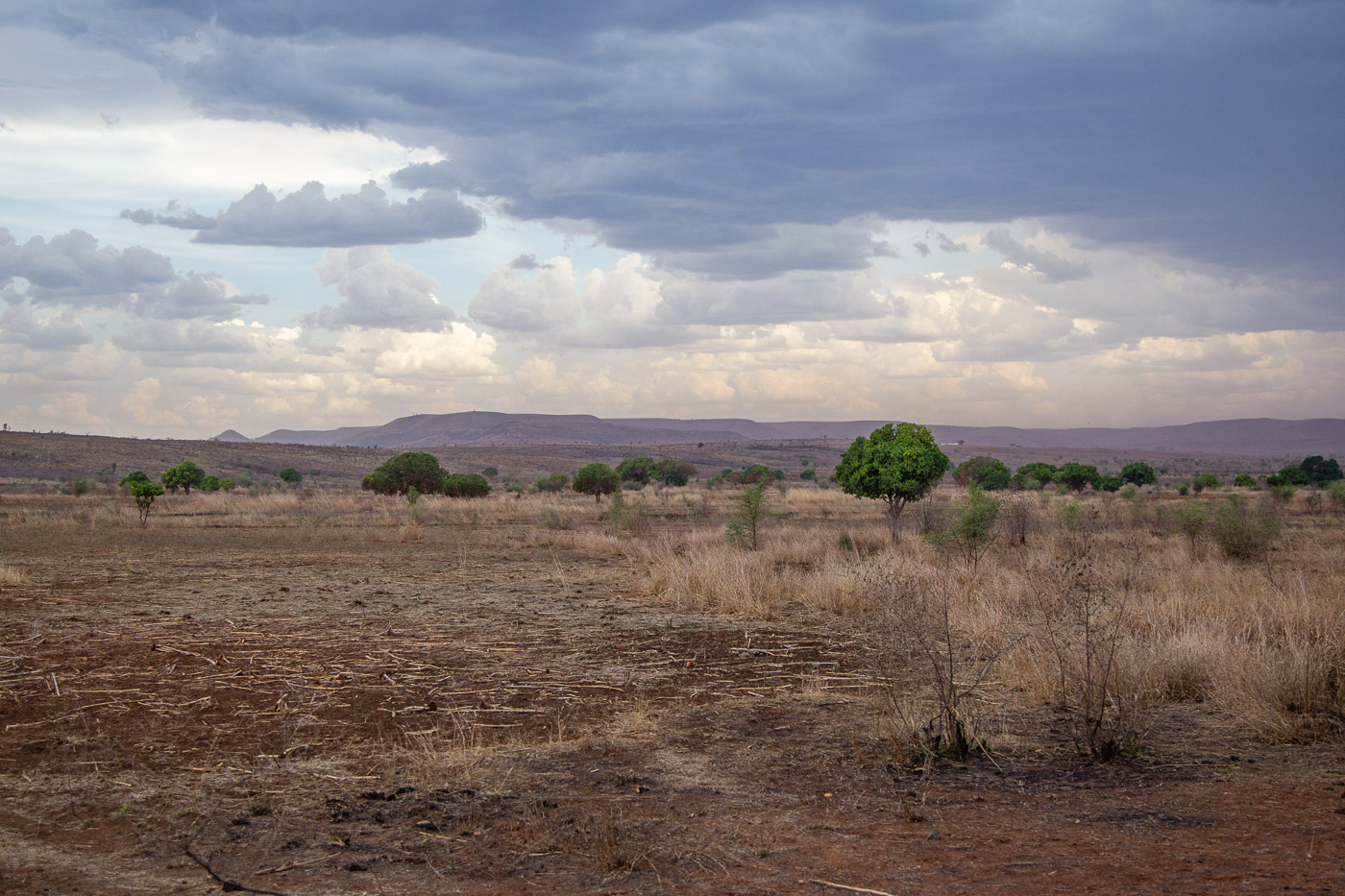 2024_Madagaskar_1D-6565.jpg