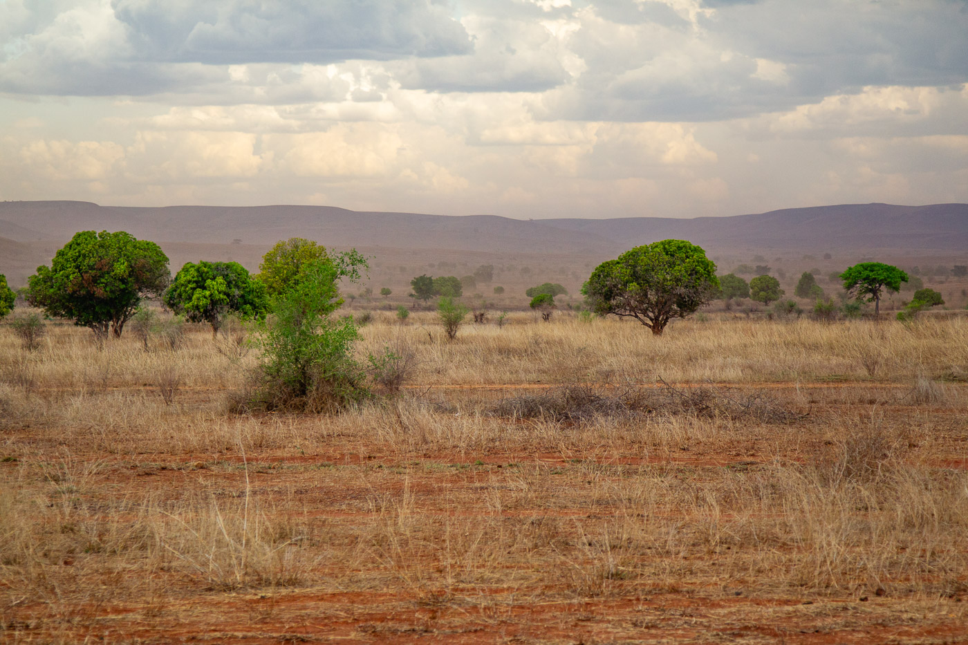 2024_Madagaskar_1D-6566.jpg