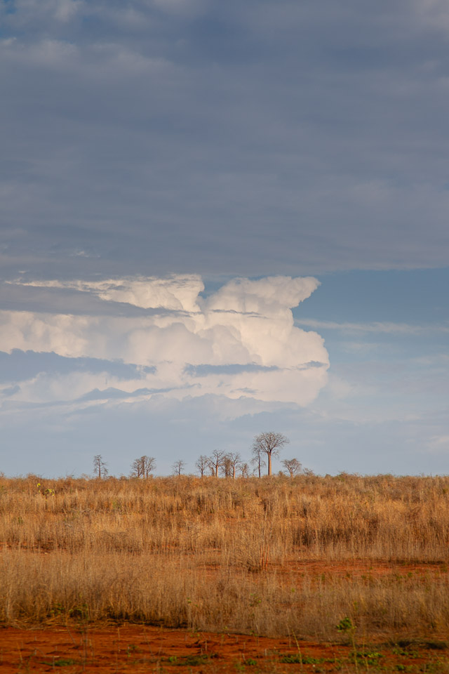 2024_Madagaskar_1D-6810.jpg