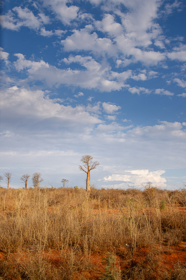 2024_Madagaskar_1D-6820.jpg