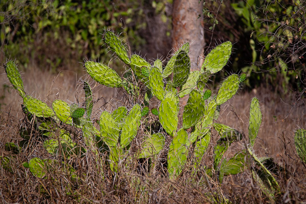 2024_Madagaskar_1D-6715.jpg