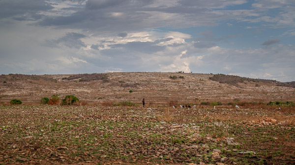 2024_Madagaskar_1D-6742.jpg