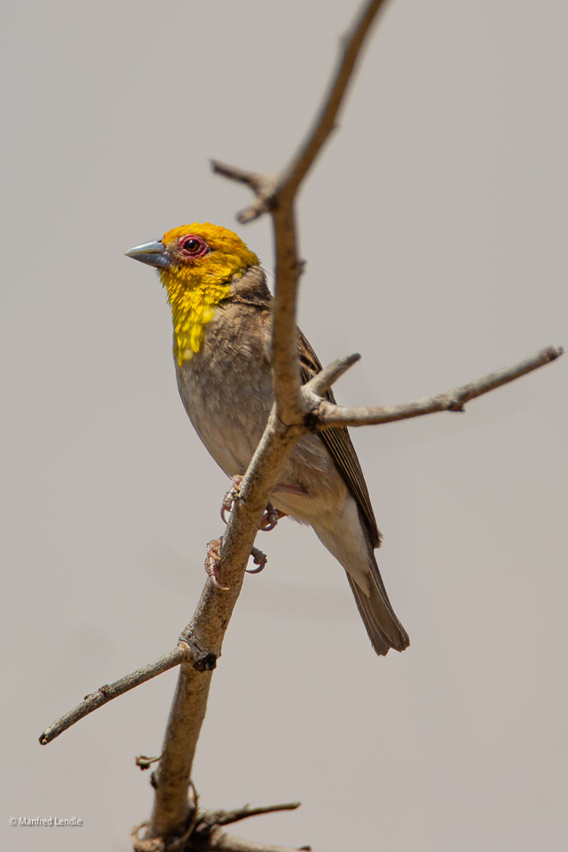 2024_Madagaskar_1D-7599-Bearbeitet.jpg