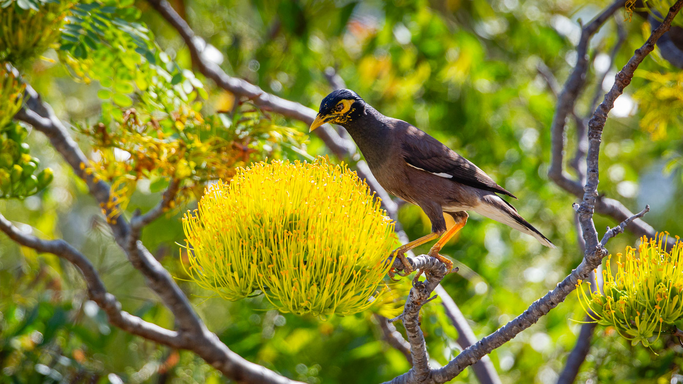 2024_Madagaskar_1D-7740.jpg