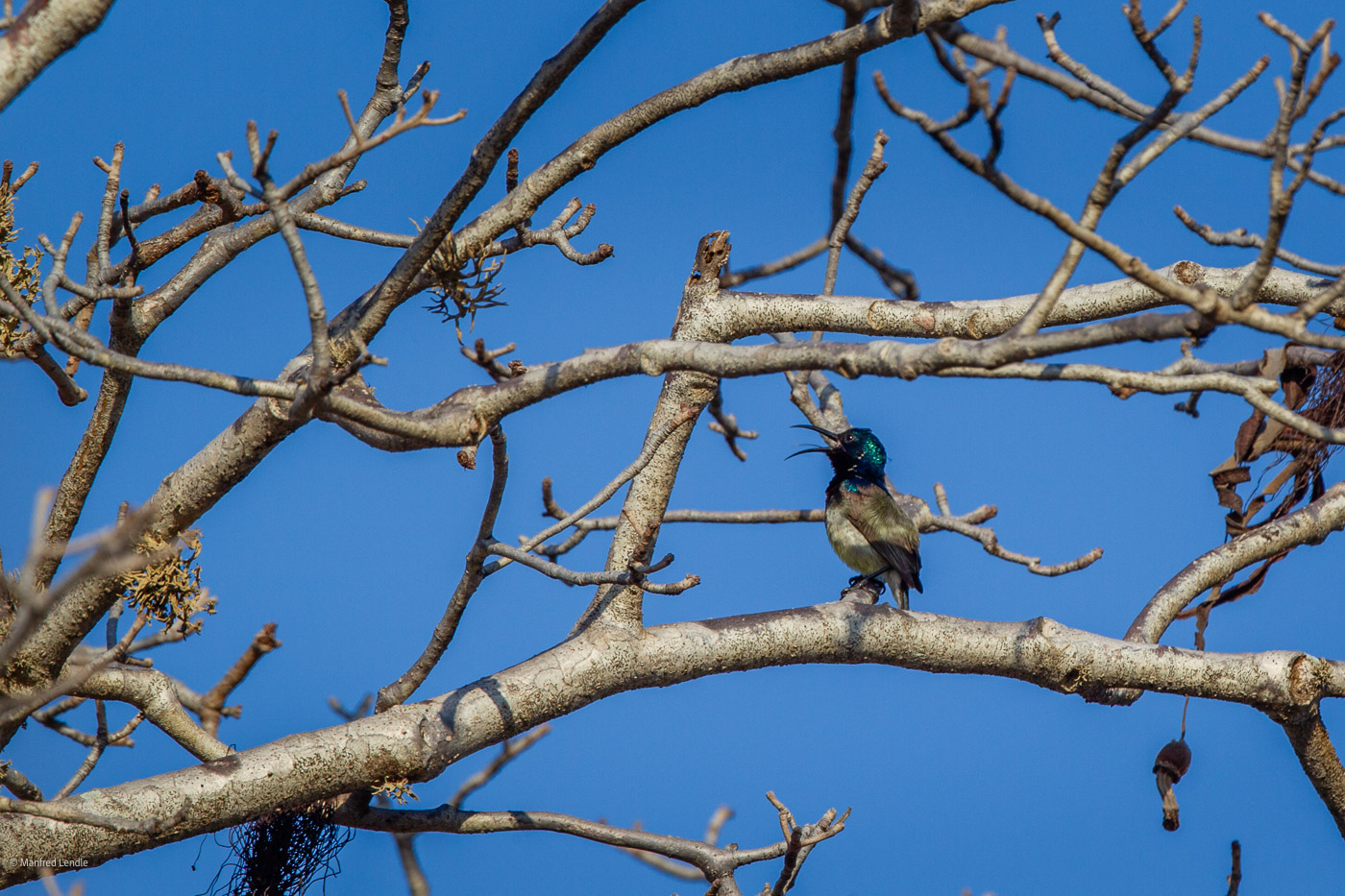 2024_Madagaskar_1D-7854.jpg