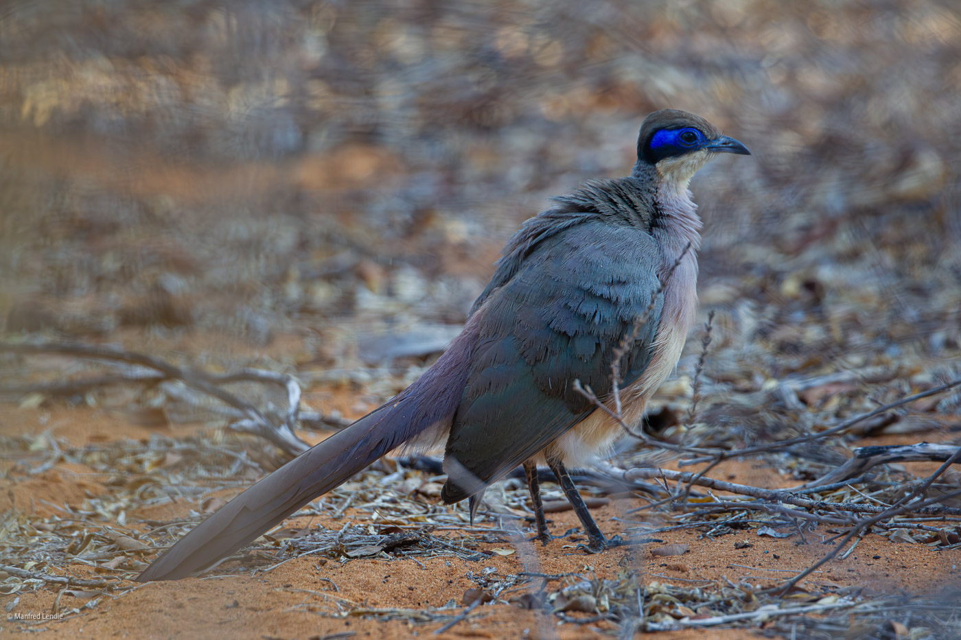 2024_Madagaskar_1D-7868-Verbessert-RR.jpg