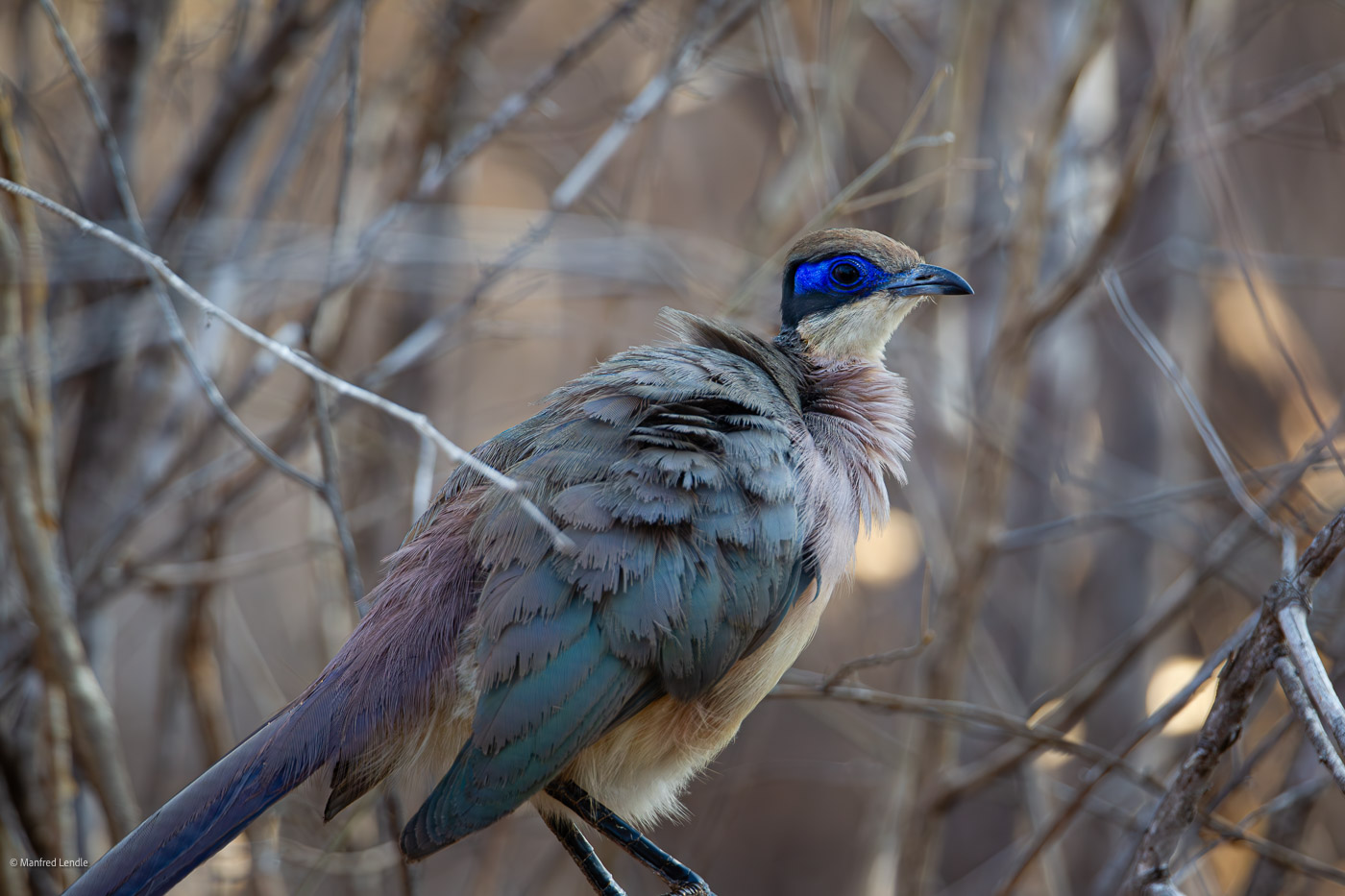 2024_Madagaskar_1D-7897-Verbessert-RR.jpg