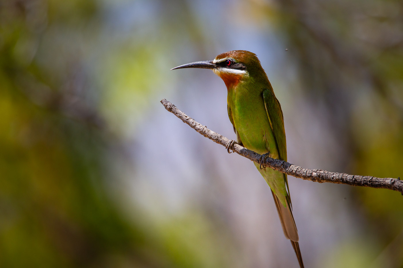 2024_Madagaskar_1D-8211.jpg
